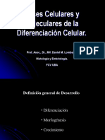 Diferenciación Celular PDF