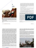 Presentacion7 PDF