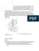 Anatomi Lumbar Spine Medscape