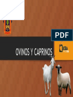 Ovinos