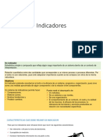 Indicadores.pdf