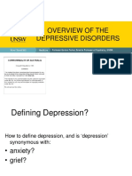 Overview of The Depressive Disorders: Professor Gordon Parker, Scientia Professor of Psychiatry, UNSW