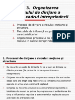 Tema 3. Oganizarea procesului de dirijare a riscului.pdf