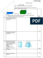 Test VIII Presiune PDF