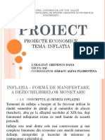 Proiecte Economice Gricenco Dana