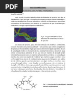 Trabalho Pratico No 1_ficocianina