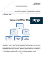 Management Flow Diagram: Director