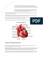 Fungsi Anatomi Fisiologi Kerja Jantung