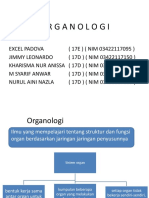 Organologi