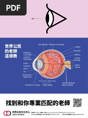 English Island 英語島 一月19 Pdf Pdf