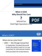 What Is ICAO Why Should You Care: Mitchell Fox Chief Flight Operations, ICAO