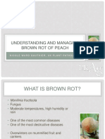 Brown Rot o Fpeach Swat PDF