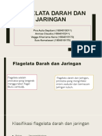 FLAGELATA DARAH DAN JARINGAN PPT Fix