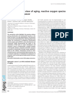 A Mitochondrial View of Aging, Reactive Oxygen Species and Metastatic Cancer