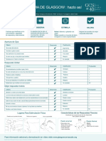 GCS-Assessment-Aid-Spanish.pdf