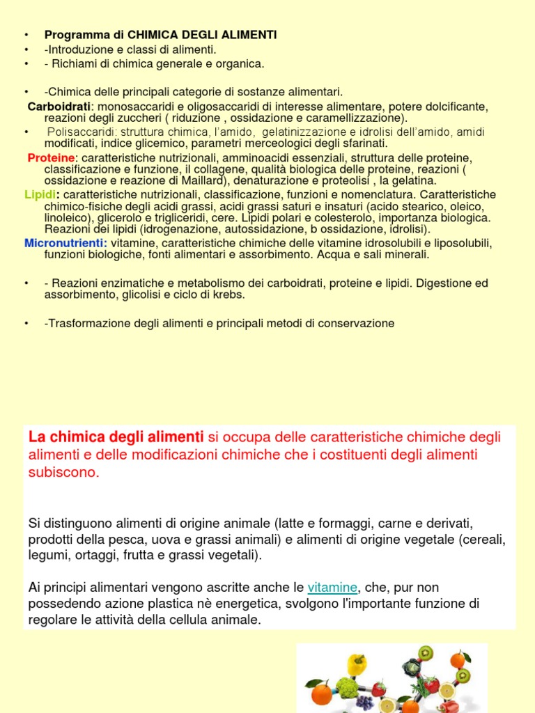Energia Potenziale Chimica Negli Alimenti