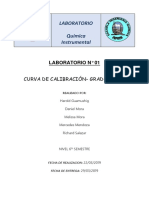 Informe Instrumental Unido