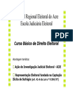 Palestra Dra. Regina - AIJE e 41-A.pdf