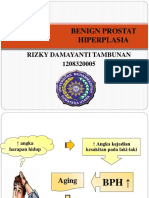 Benign Prostat Hiperplasia: Rizky Damayanti Tambunan 1208320005