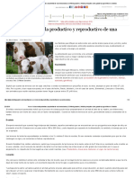 Así Es El Ciclo de Vida Productivo y Reproductivo de Una Hembra Bovina - CONtexto Ganadero - Noticias Principales Sobre Ganadería y Agricultura en Colombia