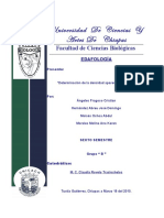 Densidad Real y Aparente.pdf