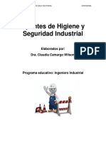 Apuntes de Higiene y Seguridad Industrial PDF