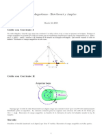 Taller Biot-Savart