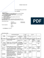 Plan de Lectie Recapitulare FAINA