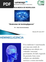 Hemi Negligencia s