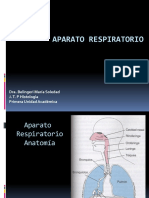 histología - aparato respiratorio
