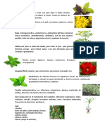 8 plantas medicinales.docx