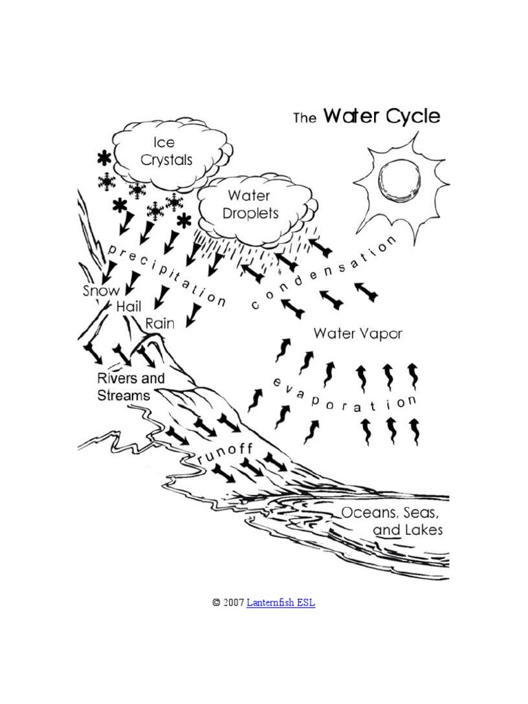 Water Cycle Diagram PDF