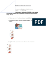 Prueba de Ciencias Naturales 1