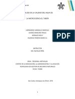 Informe ANALISIS FISICO QUIMICO Y MICROBIOLOGICO DE LA QUEBRADA EL TABOR PDF