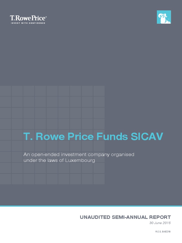 Semrep 2015 06 30 en 00 2015 09 01 5077884 PDF | PDF | Investment Fund |  Stock Fund