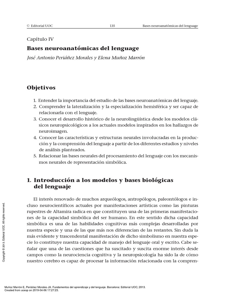Fundamentos Del Aprendizaje y Del Lenguaje - (PG 136 - 167) | PDF | Afasia  | Hemisferio cerebral