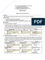 Estructuras Cíclicas-Computación-Prácticas