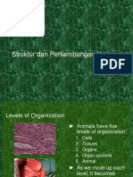 Struktur (Anatomi) Dan Hewan - ppt-2013