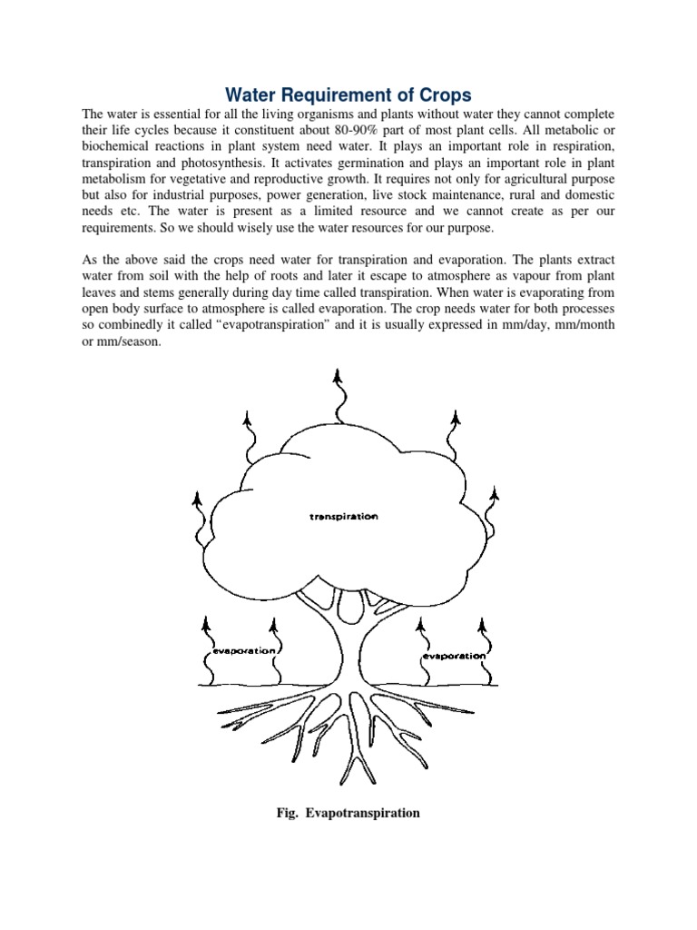 Water Requirement of Crops | PDF | Soil | Evapotranspiration