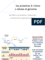 1.9. Del DNA a las proteínas II.pdf