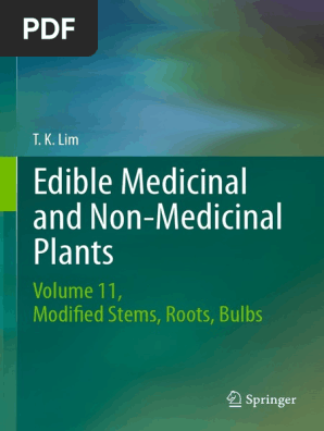 【ディープパラドックス】KID DADDY 1.2g