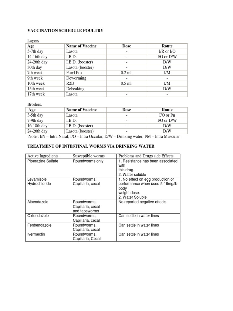 Vaccination Schedule Poultry | PDF | Poultry Farming | Chicken