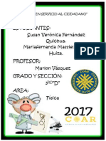 Acero Fernandez-Fisica Ii PDF