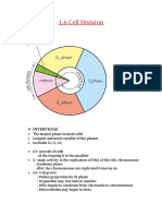 1.6 Cell Cycle