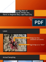Heavy Metals in The Egg Mass of (Dolabella Auricularia) Wedge Sea Hares in Magellan Bay, Lapu-Lapu City