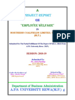 Project Report: "Employee Welfare"