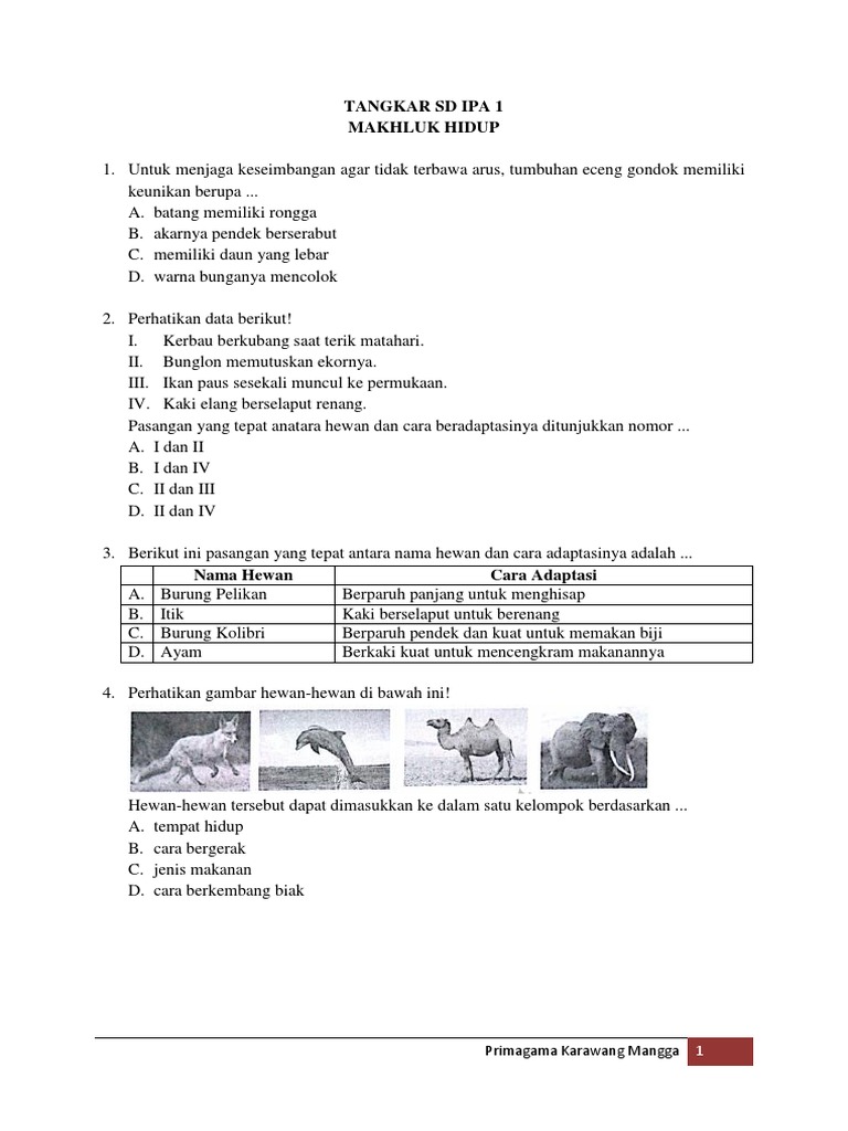 930 Koleksi Gambar Hewan Sd HD