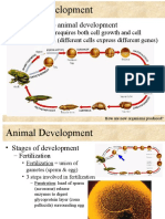 Introduction To Animal Development