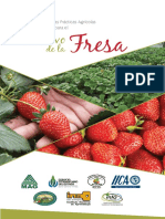 Manual Buenas Practicas Agricolas Fresa