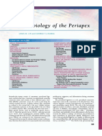 patogenesis 2.pdf